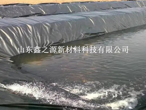 魚塘防滲膜的選擇需要考慮哪些要求？