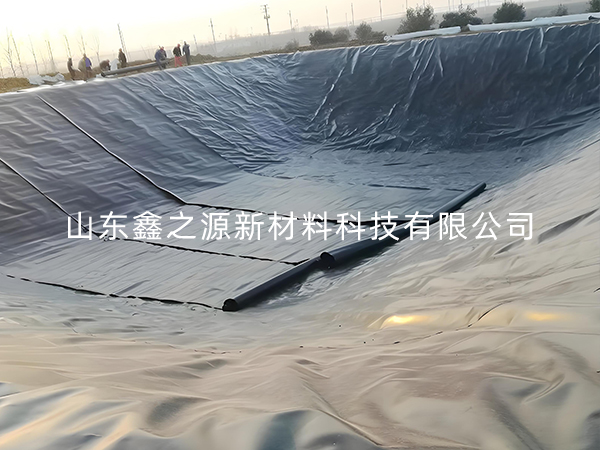 選擇防滲土工膜進(jìn)行小龍蝦養(yǎng)殖有哪些要點(diǎn)技巧？
