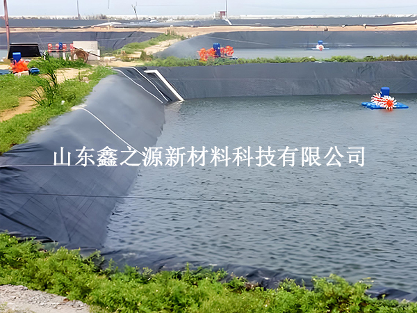 魚塘防滲膜存放技巧：輕松保鮮，以備不時之需